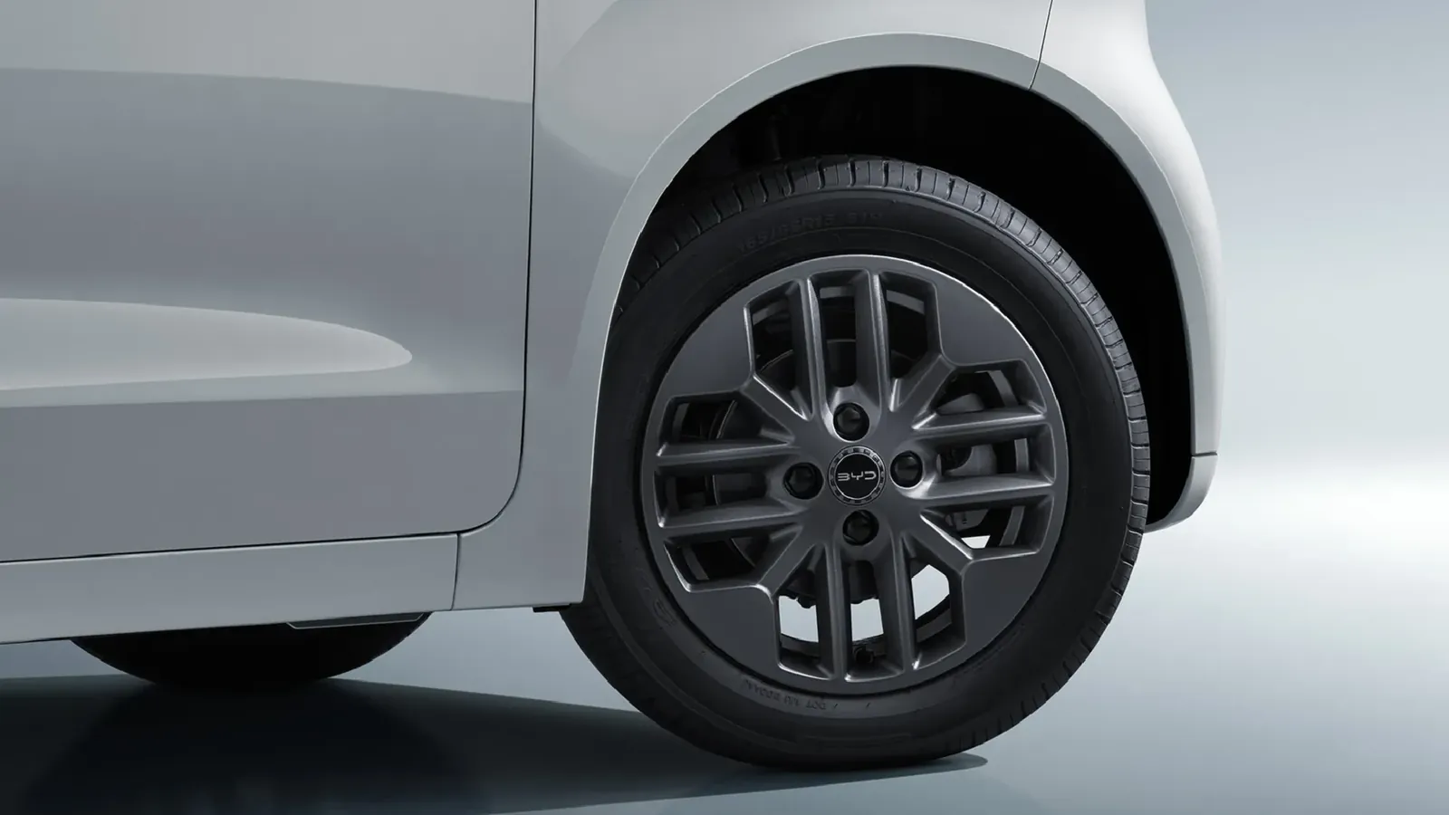 BYD Racco 22,4 kWh — photo 3