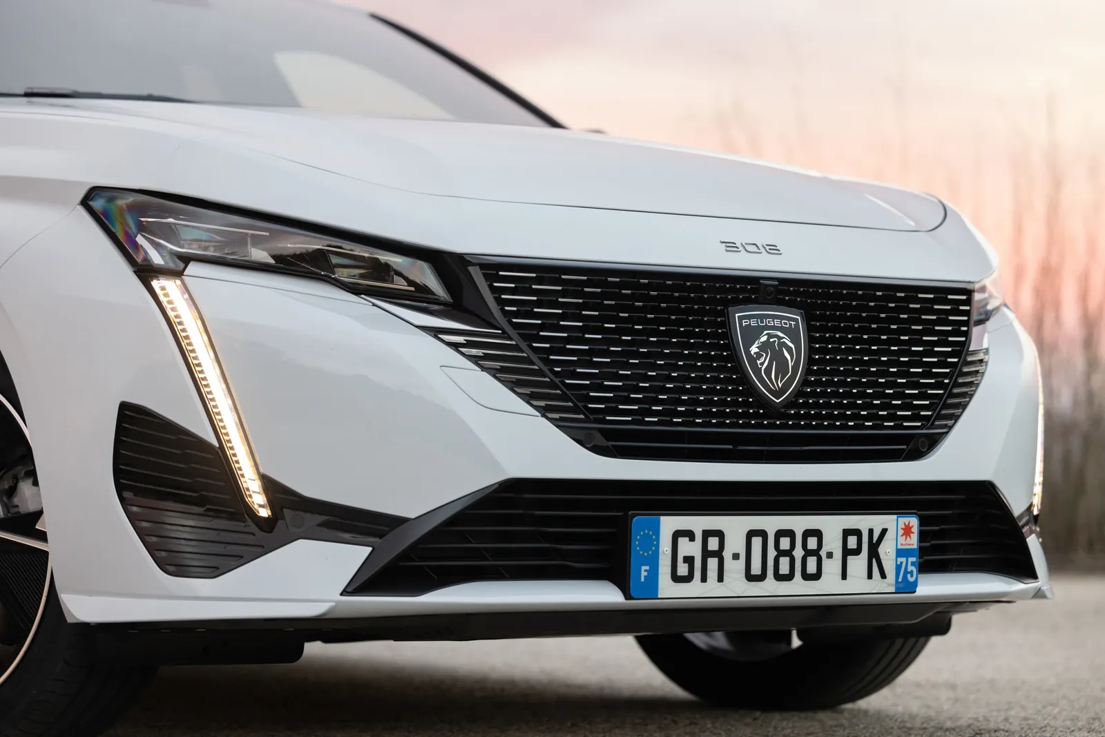 Peugeot E-308 SW — photo 4