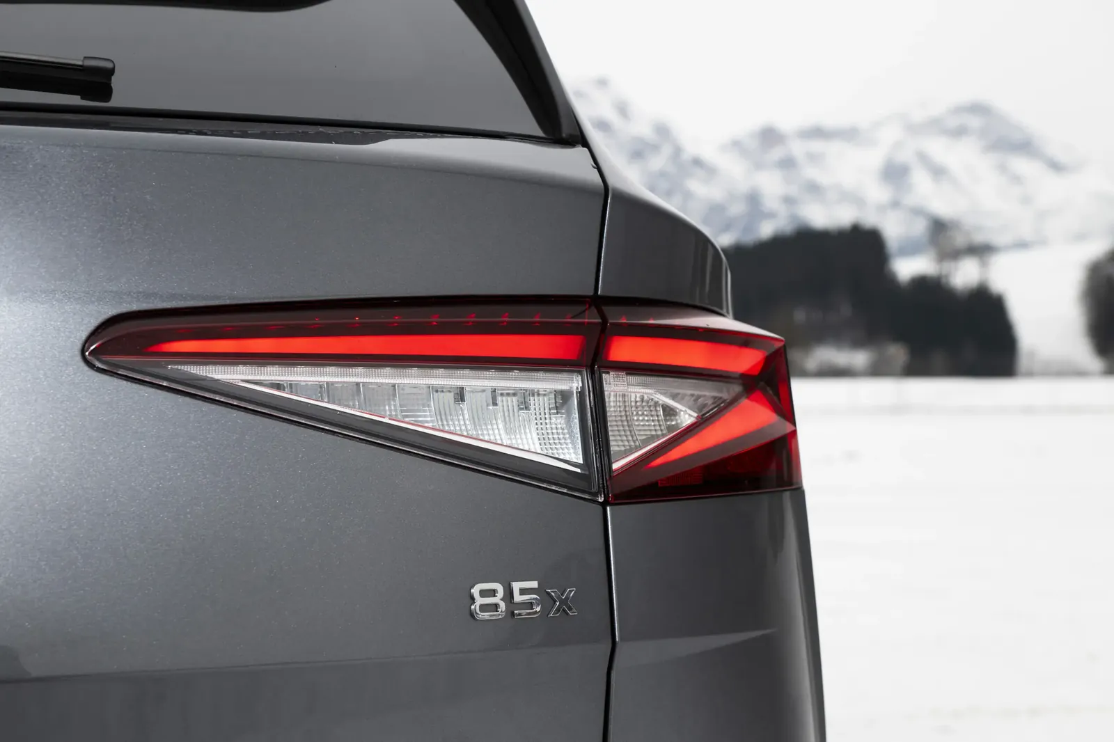 Skoda Enyaq 85x — photo 4