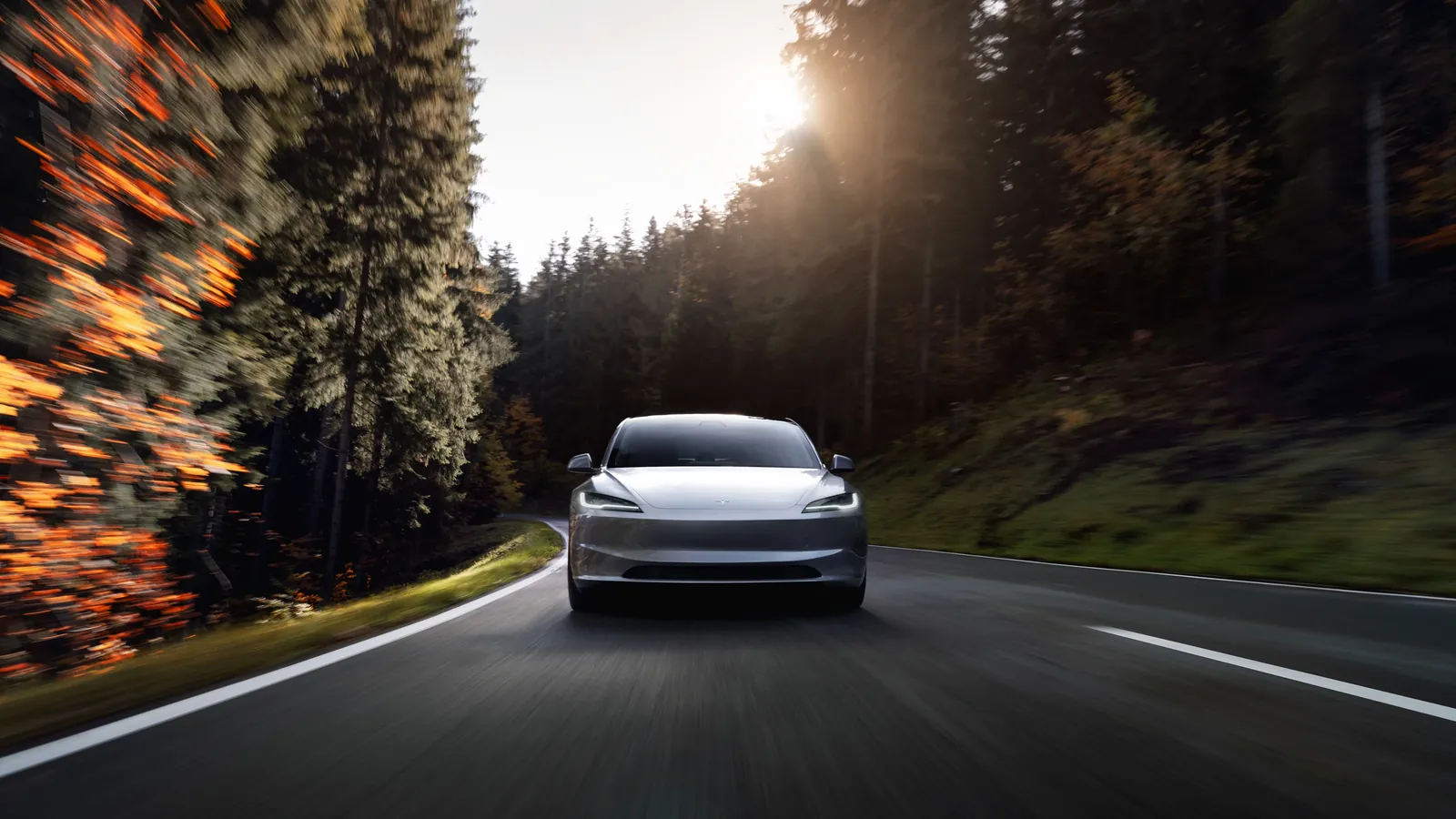 Tesla Model 3 Long Range — photo 2